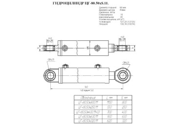 ЦГ-80.50х400.11-03