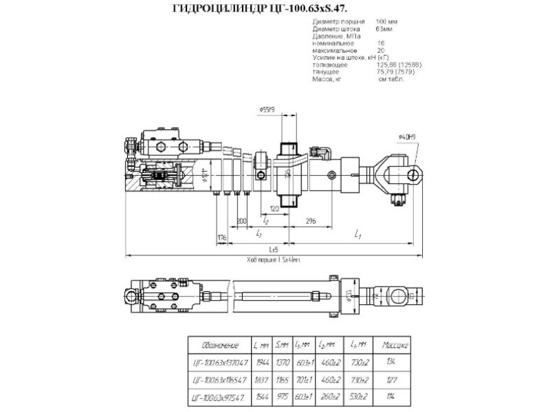 ЦГ-100.63х975.47