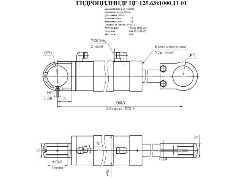 ЦГ-125.63х1000.11-01
