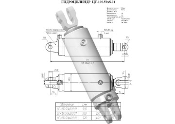 ЦГ-100.50х250.01
