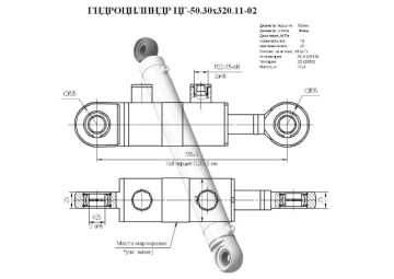 ЦГ-50.30х320.11-02