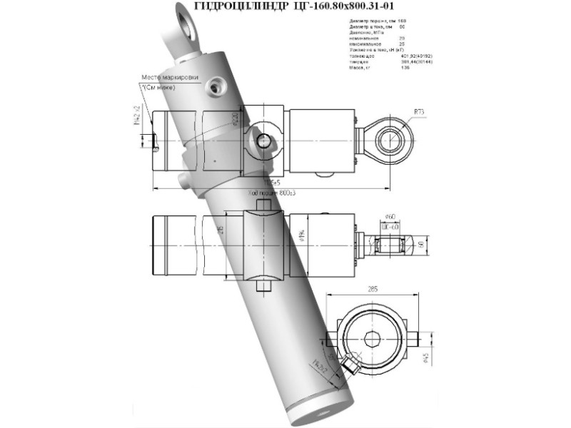 ЦГ-160.80х800.31-01