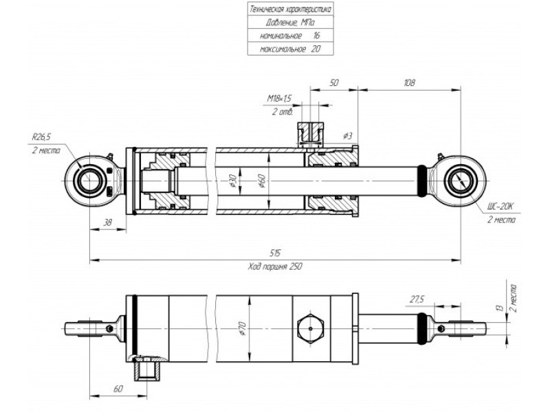 ЦГ-60.30х250.11