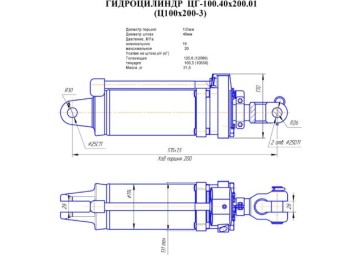 ЦГ-100.40x200.01